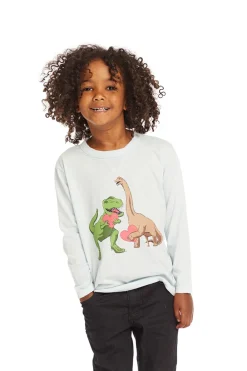 Shop Love Dinos Long Sleeve Kids/BOY Boys